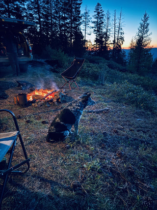 Coulee's Camp Fire