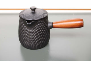 Kyusu Style Cast Iron Teapot